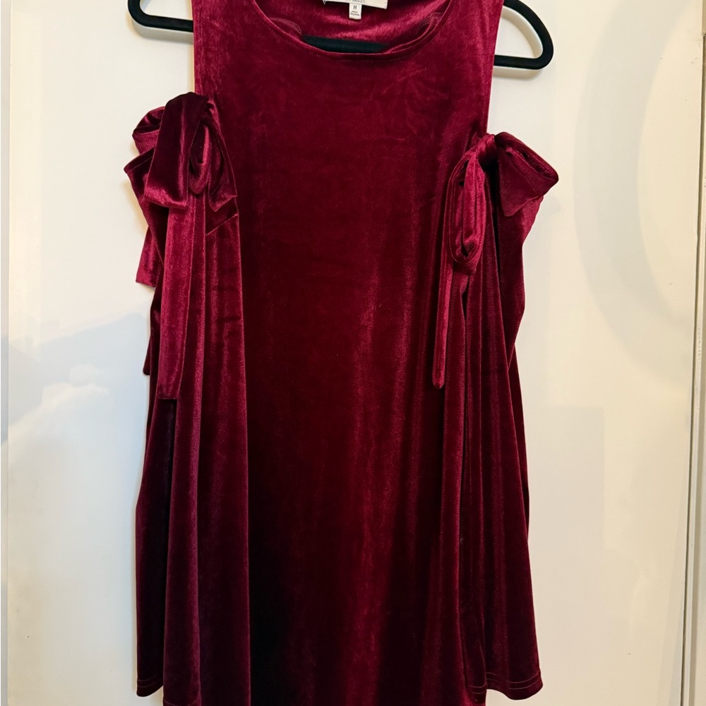 Elegant Burgundy Velvet Mini Dress